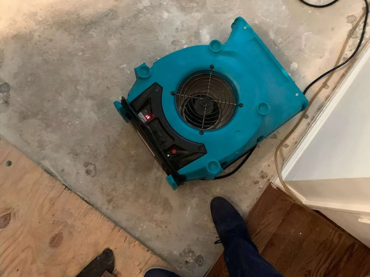 Air mover drying subfloor during Leak Detection & Repair in Munster